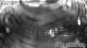 Lech 08.06.2025 22:33