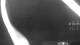 Vado Ligure 30.04.2025 22:33