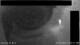 Hasloch am Main 10.07.2025 22:33