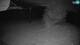Cerkno 14.06.2025 22:34