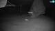 Cerkno 30.04.2025 22:34