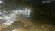 Tamariu 14.06.2025 22:34