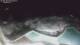 Bajamar (Tenerife) 29.04.2025 22:34