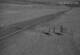 Creede, Colorado 08.06.2025 22:36