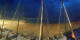 Notre-Dame-de-Monts 02.05.2025 22:37