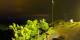 Bromont 19.06.2026 22:34
