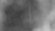 Henne 27.10.2026 22:34