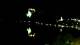 Bled 14.06.2025 22:49