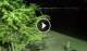 Soverato 04.08.2026 22:52