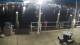 Placida, Floride 10.05.2025 22:50