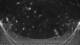 Griffen 07.07.2025 22:51