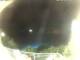 Morcone (Elba) 14.06.2025 22:51