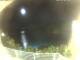 Morcone (Elba) 01.07.2025 22:51
