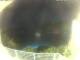Elba - Morcone 08.06.2025 22:51