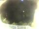 Morcone (Elba) 29.04.2025 22:51