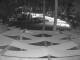 Punta Cana 29.04.2025 22:52