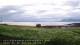 Laukvik 14.06.2025 22:52