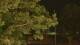 Callisburg, Texas 14.06.2025 22:54
