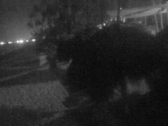 Punta Cana Dom. 23:33