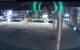 Marchtrenk 30.04.2025 23:53