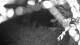 Averill Park, New York 18.03.2025 23:53