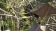 San Diego, California 02.07.2025 23:53