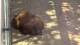 San Diego, California 07.05.2025 23:53
