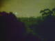 Linley Point 12.06.2025 23:54