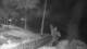 Napili, Hawaii 14.06.2025 23:55