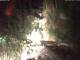 Triberg im Schwarzwald 01.07.2025 23:47