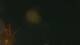 Goochland, Virginia 30.06.2025 23:14