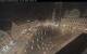 Augusta 29.04.2025 23:47