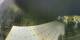 Saint-Jean-Saint-Nicolas 15.03.2025 23:01