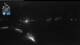 Flattach 08.07.2025 23:01