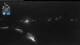 Flattach 03.07.2025 23:01