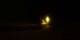 Argelès-sur-Mer 25.03.2025 23:03