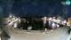 Nerezine 08.06.2025 23:05