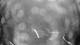Outer Island, Connecticut 08.06.2025 23:23