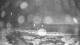 Outer Island, Connecticut 29.04.2025 23:24