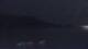 Le Lavandou 08.06.2025 23:06