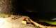 Verbier 20.06.2025 23:56