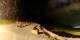 Verbier 14.07.2025 23:56