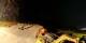 Verbier 29.04.2025 23:56