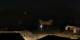 Aragnouet 27.04.2025 23:07