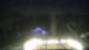 Middlefield, Connecticut 10.05.2025 23:29