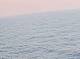 AIDAbella 14.07.2025 23:22