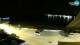 Umag 14.06.2025 23:12