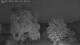 Mandelsloh 08.06.2025 23:12