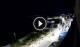 Santa Cesarea Terme 30.04.2025 23:13