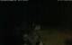 Walton 10.07.2025 23:08